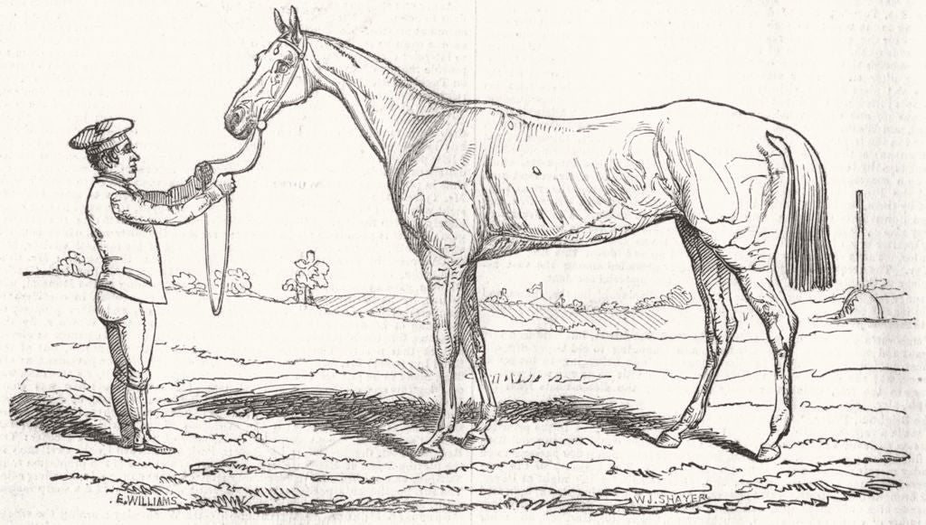 ROYALTY. The Princess, Winner of The Oaks 1844 old antique print picture